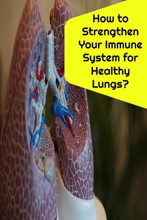 How to Strengthen Your Immune System for Healthy Lungs tips makes your oxygen flowing freely and the arteries functions efficiently in heart. #how to #strengthen #immune system #healthy lungs #natural remedies #tips #oxygen #flowing freely #arteries #functions efficiently #health #heart #lung cleanse #respiratory cleanse #better breathing Better Breathing, Lung Cleanse, Natural Decongestant, Health Heart, Strengthen Immune System, Healthy Lungs, Lungs Health, Nasal Passages, Gluten Sensitivity