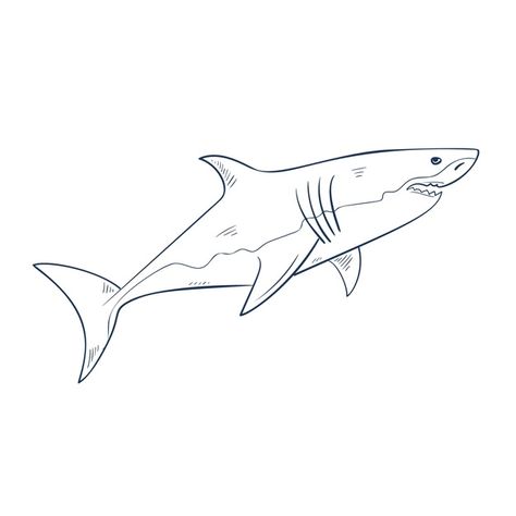 Shark Outline Tattoo, Great White Shark Tattoo, Great White Shark Drawing, Shark Drawing Easy, Shark Outline, One Line Animals, Sea Murals, Teeth Drawing, Surf Tattoo