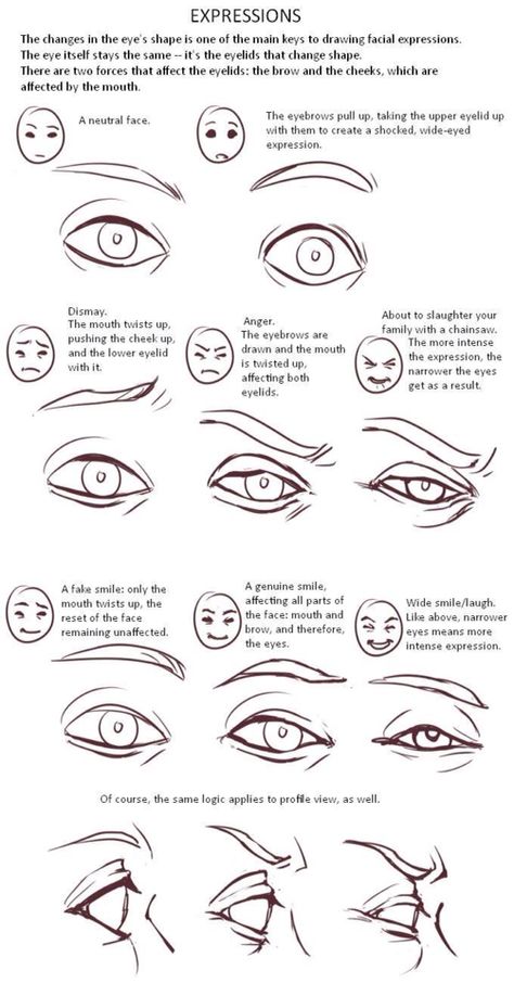 How to express emotion within eyes. Realistic Eye Drawing, 얼굴 드로잉, Anatomy Drawing, Poses References, Step Drawing, Art Instructions, Drawing Tutorials, Character Design References, Facial Expressions