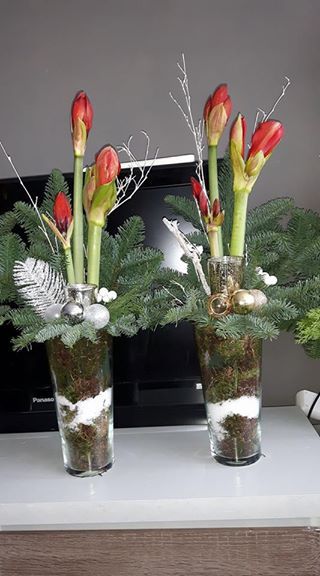 Amarilis Deko Im Glas, Amaryllis Arrangement, Chic Christmas Decor, Christmas Thoughts, Christmas Flower Arrangements, Holiday Greenery, Christmas Floral Arrangements, Christmas Arrangements, Christmas 2015