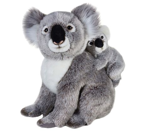 Koala Stuffed Animal, Animal Facts Interesting, Cute Koalas, Koala Plush, Toy Story Figures, Disney Stuffed Animals, Jordan River, Baby Koala, Interesting Animals