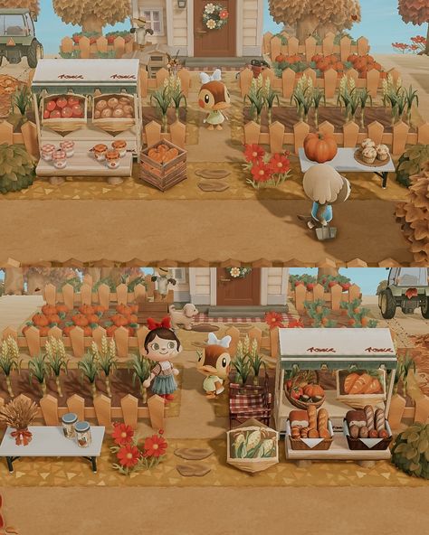 Corn Patch friends! 🌽 🚜 Thank you @acnhtreasureisland Animal crossing new horizons ACNH Nintendo switch wholesome gaming cozy design fall autumn cottagecore island idea inspiration aesthetic cosy decor build inspo game photography cute villagers small town vibes happy friendship towncore farm #acnh #acnhdesigns #acnhcommunity #acnhinspo #acnhisland #acnhdesign #acnhidea #acnhfarmcore #acnhfall #crossingcreations #nookspiration #acnhphotography #acnhaesthetic #acnhvillager #acnhvillagers ... Acnh Inspo Cottagecore, Acnh Cottagecore Room, Acnh Cottagecore Build Ideas, Acnh Build Guide, Animal Crossing Cottage Core Villagers, Acnh Fall Entrance Ideas, Acnh Island Inspirations Natural, Animal Crossing Aesthetic Island Ideas, Animal Crossing Town Aesthetic