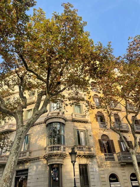 #bcn #barcelona #autumn Barcelona Moodboard, Barcelona Autumn, Barcelona Aesthetic, What Day Is Today, Parisian Apartment, Dream City, Autumn Vibes, Autumn Aesthetic, Street Photo