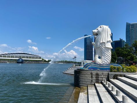 One of the most famous depictions of this iconic symbol is the statue found at Merlion Park—a scenic spot that stands near the mouth of the Singapore River. Singapore River, Marina Bay, Marina Bay Sands, Opera House, Sydney Opera House, Singapore, Statue, Building, Travel