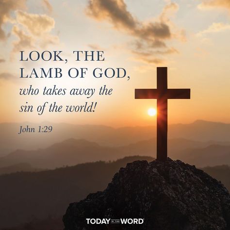 Easter Scripture Quotes, John 1 29, Easter Scriptures, The Lamb Of God, Devotional Bible, Lamb Of God, A Sheep, Bible Devotions, The Lamb