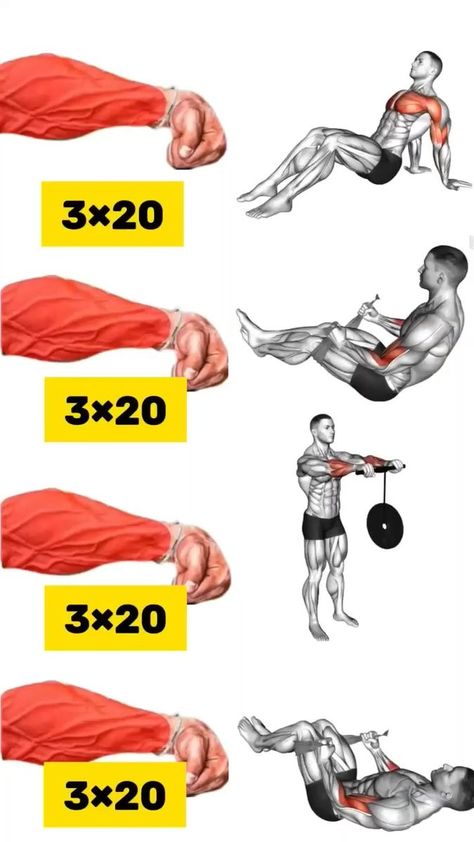 Forearm Workout At Home, Forearm Workout, Shoulder Exercises, Bodybuilding Workout Plan, Abs Training, Abs And Cardio Workout, Effective Workout Routines, Workout Without Gym, Triceps Workout