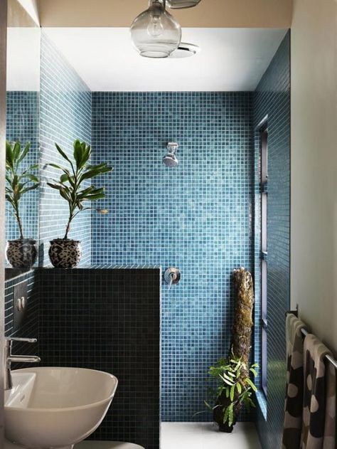 A joined bathroom can be as comfortable as it can be inconvenient but there is always a solution to any problem, and for joined bathrooms it’s a half wall ~ http://walkinshowers.org/ Blue Mosaic Tile, Melbourne House, Decor Baie, Dream Bathrooms, Blue Bathroom, Bathroom Renos, Remodel Bedroom, The Design Files, Style At Home