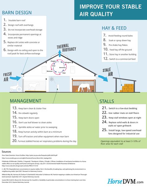 Methods of reducing dust and mold pathogens in the air in horse stables. Horse Farm Ideas, Horse Barn Ideas Stables, Horse Barn Designs, Dream Horse Barns, Horse Barn Plans, Horse Facility, Horse Care Tips, Farm Layout, Barns Sheds