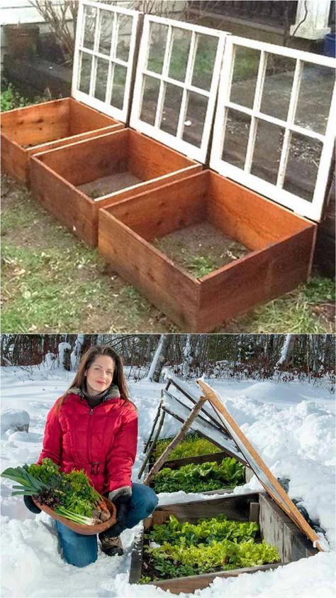 Outstanding ”greenhouse plans” info is readily available on our internet site. Take a look and you will not be sorry you did. Serre Diy, Diy Greenhouses, Plantarea Legumelor, Greenhouse Plans, Diy Greenhouse, Cold Frame, Greenhouse Gardening, Vegetable Garden Design, Garden Boxes