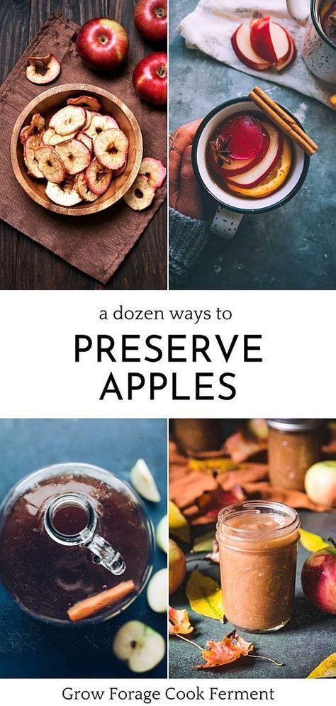 Capture the heart of fall with our guide on the best ways to preserve apples. From canning apples for a classic touch to freezing them for prolonged freshness, learn 12 different methods. Try your hand at making rich apple butter or invigorating apple cider using your preserved fruits. Easy Apple Cider Recipe, Preserve Apples, Canning Fruit Recipes, Apple Cider Uses, Seasonal Recipes Fall, Savory Apple Recipes, Canning Apples, Mead Wine, Fermented Drinks