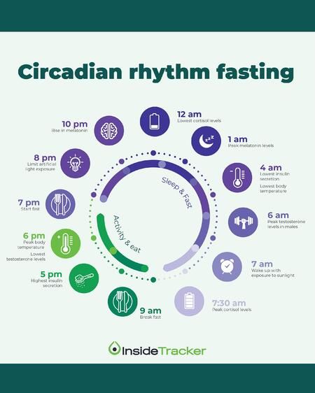 Circadian Rhythm Fasting: Eating to Align with Your Internal Clock Low Cortisol Levels, Body Clock, How To Sleep Faster, Body Energy, Cortisol Levels, Testosterone Levels, Body Healing, Have A Good Night, Improve Sleep Quality