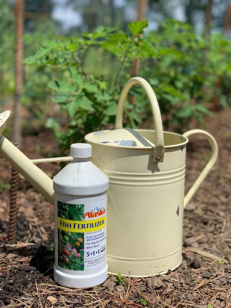 Organic Fertilizer Options - The Beginner's Garden Foliar Spray, Soil Testing, Organic Garden, Liquid Fertilizer, Organic Fertilizer, Perfect Garden, Gardening For Beginners, Garden Planning, Organic Gardening