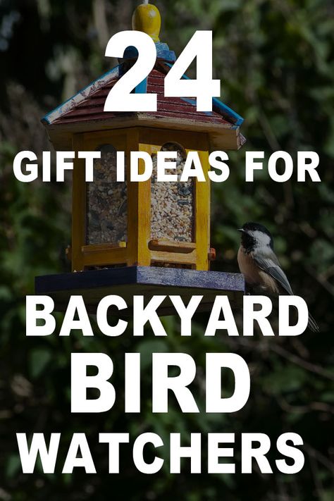 Bird Feeder Gift Basket Ideas, Bird Lovers Gift Ideas, Bird Feeder Gift, Bird Lover Gifts, Bird Feeder Stands, Bird Feeder Station, Unique Bird Feeders, Bird Feeder Plans, Bird Feeder Craft