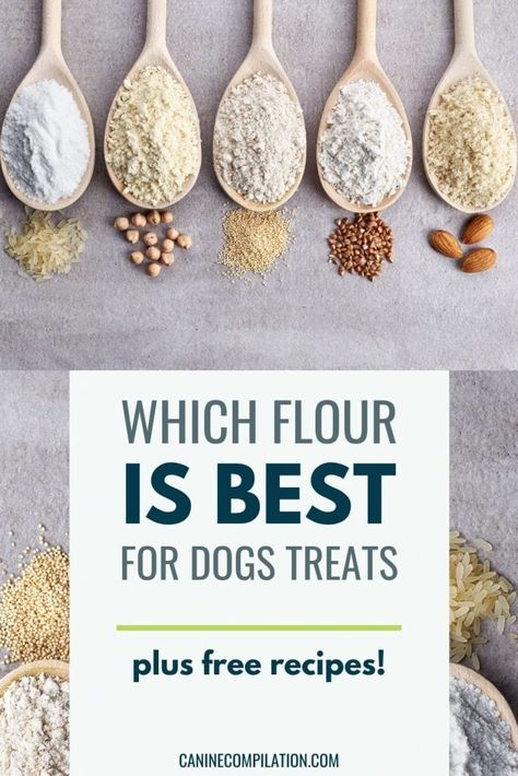 Organic Dog Treats Recipe, Natural Dog Treats Recipes, Parents Aesthetic, Dog Treats Recipes, Healthy Homemade Dog Treats, Dog Training Treats Recipe, Dried Dog Treats, Soft Dog Treats, Homemade Pet Treats