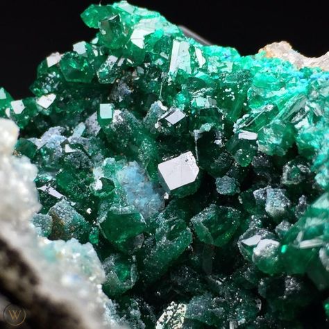 310g Natural Best Color-Green Dioptase Geode Crystals Mineral Specimen,Namibia | #1906369201 Geode Crystals, Crystal Geode, Best Color, Crystals Minerals, Mineral Specimen, Mother Earth, Gemstone Jewelry, Hobbies, Gems