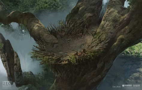 ArtStation - Kashyyyk Nest Shrines, Gabriel Yeganyan King Kong Skull Island, Nest Art, Dinosaur World, Environment Painting, Bird People, Dragon Nest, Beautiful Horse Pictures, Bird Nests, Landscape Concept