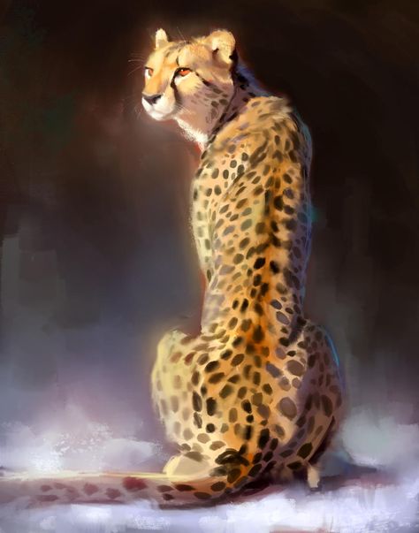 Cheetah Drawing, Deviantart