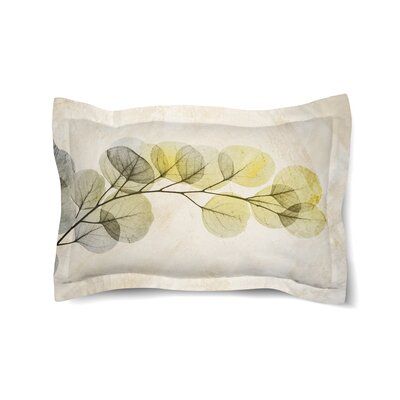 Latitude Run® Beautify your bedroom decor with the calming image of a sham. This nature-inspired design features a unique technique of using an X-ray machine on clusters of eucalyptus branches against a watercolor-painted beige, textured wash. | Latitude Run® Swinford Smoky X-Ray of Eucalyptus Leaves Sham, 100% Cotton, Size Standard/Twin | Wayfair Calming Images, Natural Bedroom, Eucalyptus Branches, Eucalyptus Leaves, Nature Inspired Design, Bedding Accessories, X Ray, Cushion Covers, Nature Inspired