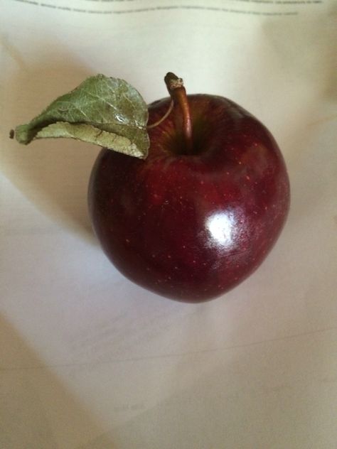 This apple is so perfect I had to take a photo of it. It was almost to good to eat! Person Eating Apple, Apple Aesthetic, Apple Photography, Apple Core, How To Disappear, Cherry Baby, Fried Apples, Apple Theme, Take A Photo