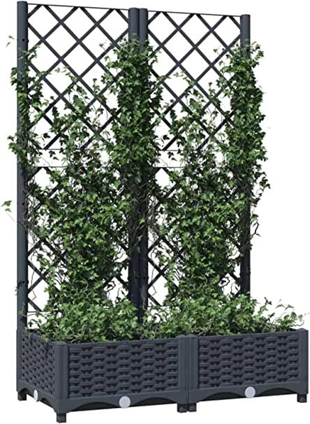 Planter With Trellis, Planter Trellis, Landscape Fabric, Garden Planter, Climbing Plants, Outdoor Umbrella, Raised Beds, Hanging Planters, Green Plants