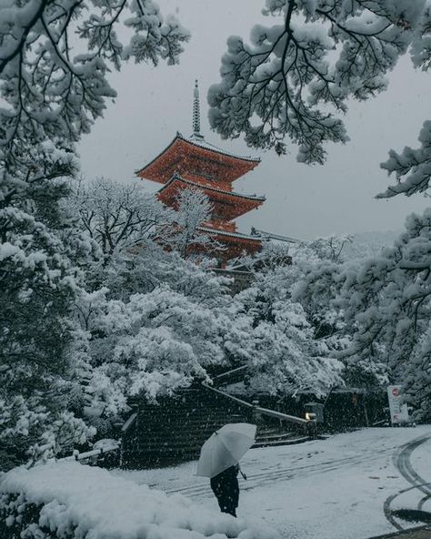 Kyoto Winter, Japan Bucket List, Japan Winter, A Snowy Day, Snowy Day, Kyoto Japan, Japanese Garden, Holiday Destinations, Japanese Art