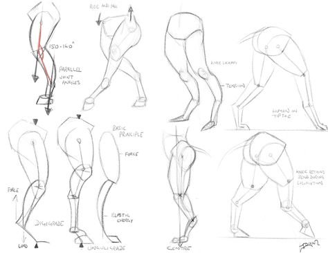 Goat Skeleton, Legs Drawing, Drawing Legs, Human Body Drawing, Drawing Hands, One Point Perspective, Human Anatomy Drawing, Man Illustration, Anatomy Drawing