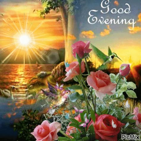 Good evening Good Evening Love, Evening Images, Good Evening Messages, Good Evening Wishes, Happy Evening, Evening Pictures, Rosé Gif, Evening Quotes, Good Evening Greetings