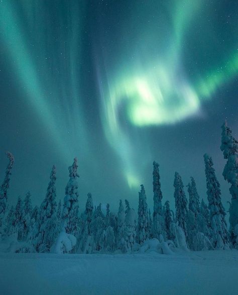 Best Places To Travel 🗺️ on Twitter: "Under the Arctic sky ✨ https://t.co/QW9jvuZfBx" Travel Northern Lights, Snowing Aesthetic Wallpaper, Arctic Sea, His Dark Materials, Polar Light, Nordic Lights, The Northern Lights, Pretty Sky, The Aurora