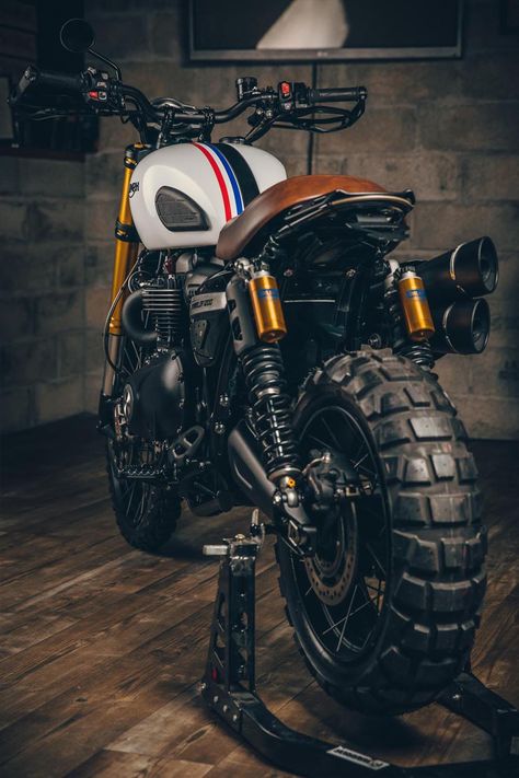 Le 1200 Scrambler Triumph XtRem par Triumph Lanester : TT à l'horizon Triumph 1200 Scrambler, Triumph Scrambler 1200 Xe Custom, Triumph Scrambler 1200 Xe, Triumph Bike, Triumph Scrambler Custom, Adventure Bike Motorcycles, Triumph Street Scrambler, Moto Wallpapers, Moto Triumph