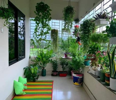 Money Plant Decor, Planter Decoration, Indoor Oasis, Indian Room Decor, Plants Diy, Easy Room Decor, Housewarming Decorations, House Interior Design Styles, Terrace Decor