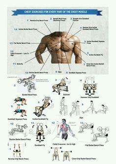 Latihan Dada, Chest Exercises, Bodybuilding Diet, Fitness Fun, Trening Fitness, Workout Chart, Chest Workouts, Workout Plans, An Exercise