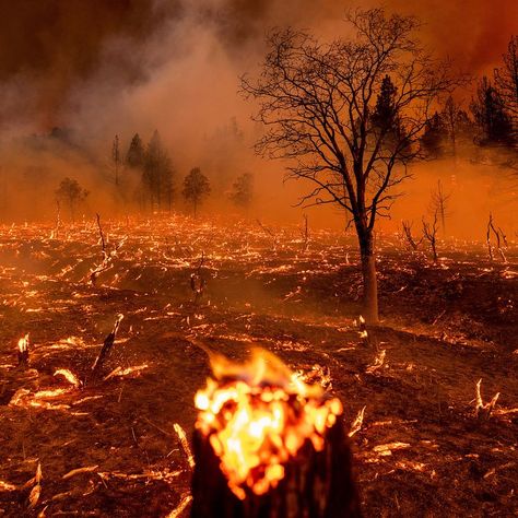 University Of Colorado Boulder, California Wildfires, Forest Floor, Spain And Portugal, University Of California, Northern California, Pollution, The Globe, Solar