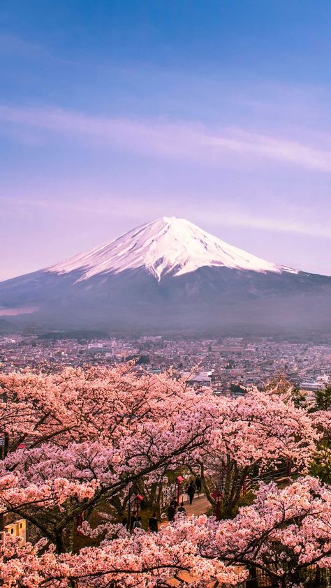 Volcano Wallpaper, Volcano Projects, Iphone Paper, Huawei Wallpapers, Japanese Nature, Cherry Blossom Japan, Versailles Garden, Monte Fuji, Breathtaking Scenery