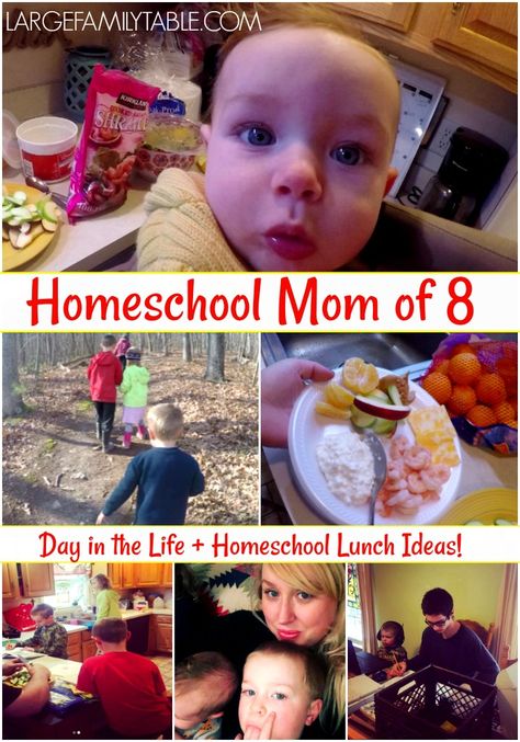 Homeschool Lunch Ideas | Homeschool Mom Day in the Life (8 Kids) - Large Family Table Homeschool Lunch Ideas, Homeschool Lunch, Large Family Table, Math U See, Rod And Staff, Free Homeschool Curriculum, Motherhood Encouragement, Math Blocks, Homeschool Board