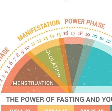 Fast Like A Girl Fasting Cycle, Fast Like A Girl Cycle, Mindy Pelz Fasting Cycle, Fast Like A Girl Dr Mindy, Dr Mindy Pelz Fasting Chart, Fasting Cycle, Vegetable Recipes For Kids, Dr Mindy Pelz, Lifestyle Hacks