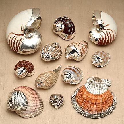 Silver coated seashells 🐚 Gilded Shells, Painting Shells, Art Coquillage, Seashell Projects, Shell Craft, Seashell Ornaments, Seashell Painting, Painted Shells, Shell Ornaments