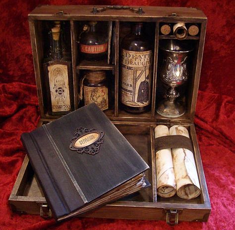 Dark Magic Potion Kit Personal Library Kit, Potion Kit, Hogwarts Classes, Nerd Decor, Potions Book, Magic House, Potion Bottles, Kit Ideas, Witchcraft Spell Books