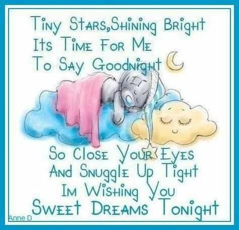 Funny Good Night Images, Sweet Dreams Sleep Tight, Sweet Dream Quotes, Say Goodnight, Good Night Sleep Tight, Good Night Funny, Hug Quotes, Bear Quote, Good Night Images