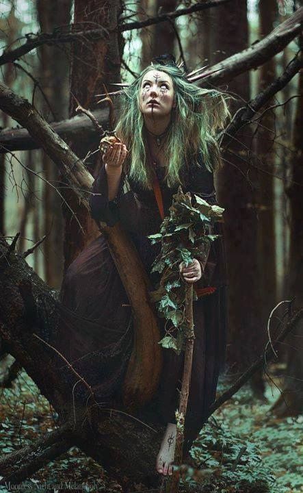 Staff, but much taller, and metallic Nikki Makeup, Witch Photos, Baba Jaga, Nature Witch, Aesthetic Fairy, Fantasy Photography, Halloween Photoshoot, Beltane, Witch Aesthetic