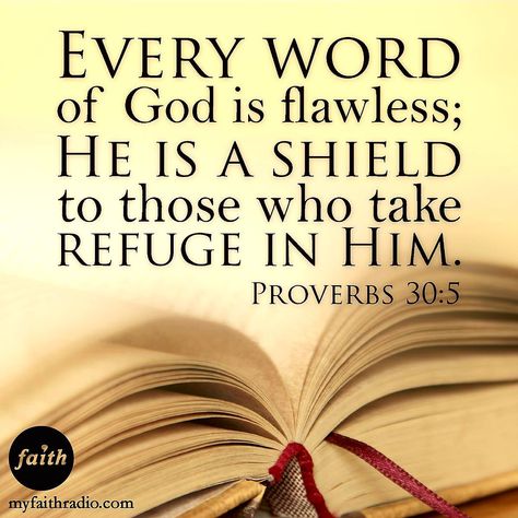 Proverbs 30:5 Proverbs 30:5, Burning Memories, Proverbs Scriptures, Jesus Father, Proverbs 30, Cross Tree, The Prophecy, Book Of Proverbs, Father God