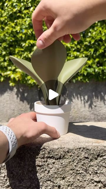 3d Printing Garden Ideas, Plant Garden, 3dprinting Design, Plant Print, Water Plants, Funnel, 3d Printed, 3d Printing, 3 D