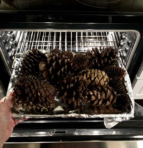 How to Prepare Pine Cones for Crafts - aDOORable Deco Decor How To Prep Pinecones For Crafts, Decorating Pinecones For Christmas, Pine Tree Clippings Decor, Bake Pinecones For Crafts, Drying Pinecones In Oven, How To Bake Pinecones For Crafts, How To Dry Out Pine Cones, Cone Crafts For Christmas, How To Prepare Pinecones For Crafts