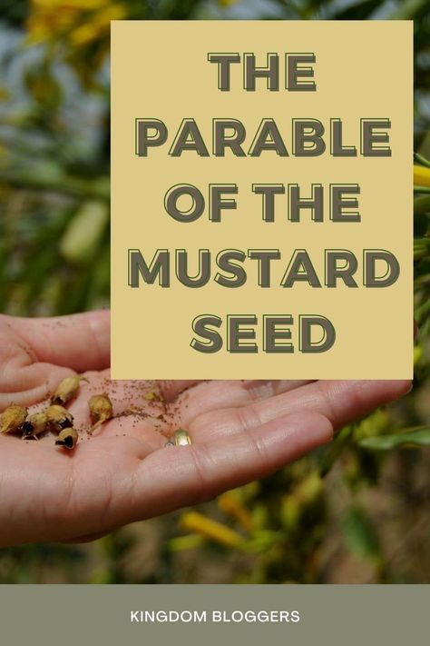 The Parable of the Mustard seed teaches us that the smallest amount of faith will result in God moving in big ways in your life. Mustard Seed Parable, Parable Of The Mustard Seed, Kids Worship, Mustard Seed Faith, Youth Lessons, Kids Questions, Bible Lessons For Kids, Sunday School Lessons, Preschool Lessons