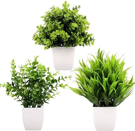 Sherwin Williams Evergreen Fog Kitchen Cabinets Painting Cabinets Diy, Plants In Pots, Artificial Potted Plants, Artificial Boxwood, Green Paint Colors, Plant Ideas, Plants Indoor, Wheat Grass, Real Plants