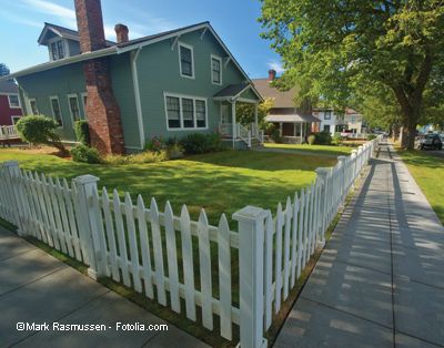 Picked Fence Ideas, Picked Fence, Yard Before And After, Fence Planning, Fence Plants, Green Fence, Modern Fence Design, Living Fence, Concrete Fence