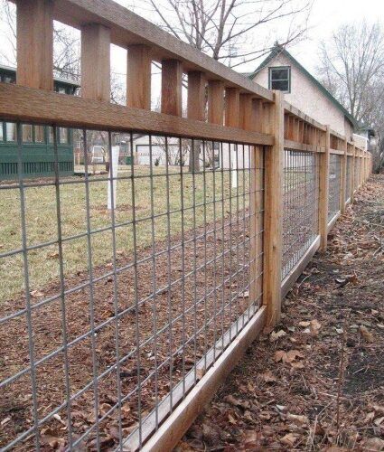 Dog Fence Ideas, Pagar Modern, Cheap Garden Fencing, Cattle Panels, Wood Patio, Dog Fence, Furniture Patio, Fence Ideas, Backyard Fences