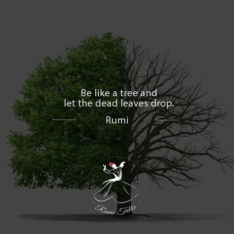 Rumi Talks on Instagram: “💙 - Jalaluddin Rumi . . . . . #rumi #rumiquotes #quotes #goodquotes #motivation #motivationalquotes #spiritualawakening #spiritual #sufi…” Maulana Rumi Quotes In English, Rumi Quotes On Nature, Maulana Rumi, Rumi Quotes Soul, Quotes Soul, Rumi Poetry, Jalaluddin Rumi, Fb Quote, Discipline Quotes