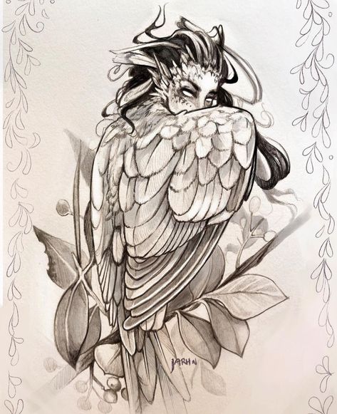 Harpies Tattoo, Harpy Tattoo Design, Harpy Tattoo, Fairy Tale Tattoo, Abstract Art Tattoo, Comic Drawing, Tattoo Outline, Mythical Creatures Art, Russian Art