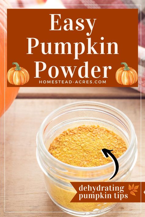 Ever thought about preserving pumpkins for year-round use? Learn how to dehydrate pumpkin puree into a versatile pumpkin powder! It's perfect the perfect way to preserve your pumpkins. Discover simple steps to turn fresh or canned puree into dehydrated pumpkin, ready to transform your recipes. Learn the art of dehydrating pumpkin and enjoy fall flavors anytime Perfect for adding to soups, bread, and more. How To Use Canned Pumpkin, Dehydrating Pumpkin, Dehydrate Pumpkin, Dehydrated Pumpkin, Pumpkin Flour, Preserving Pumpkins, Pumpkin Powder, Dehydrating Food Storage, Food Dehydration