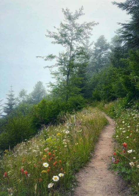 Foggy Spring, Mount Saint Helens, Saint Helens, Spring Inspo, Spring Morning, Cold Spring, Spring Mood, Pretty Landscapes, Spring Aesthetic